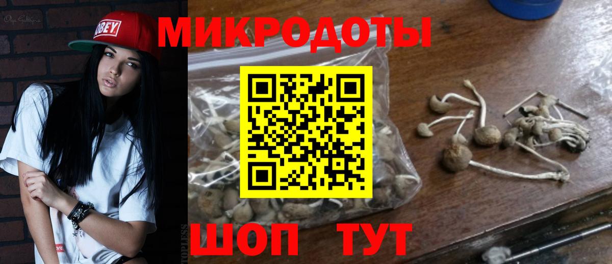 Псилоцибиновые грибы MAGIC MUSHROOMS  Псилоцибиновые грибы Cubensis  Вход с VPN  даркнет сайт  Муром 